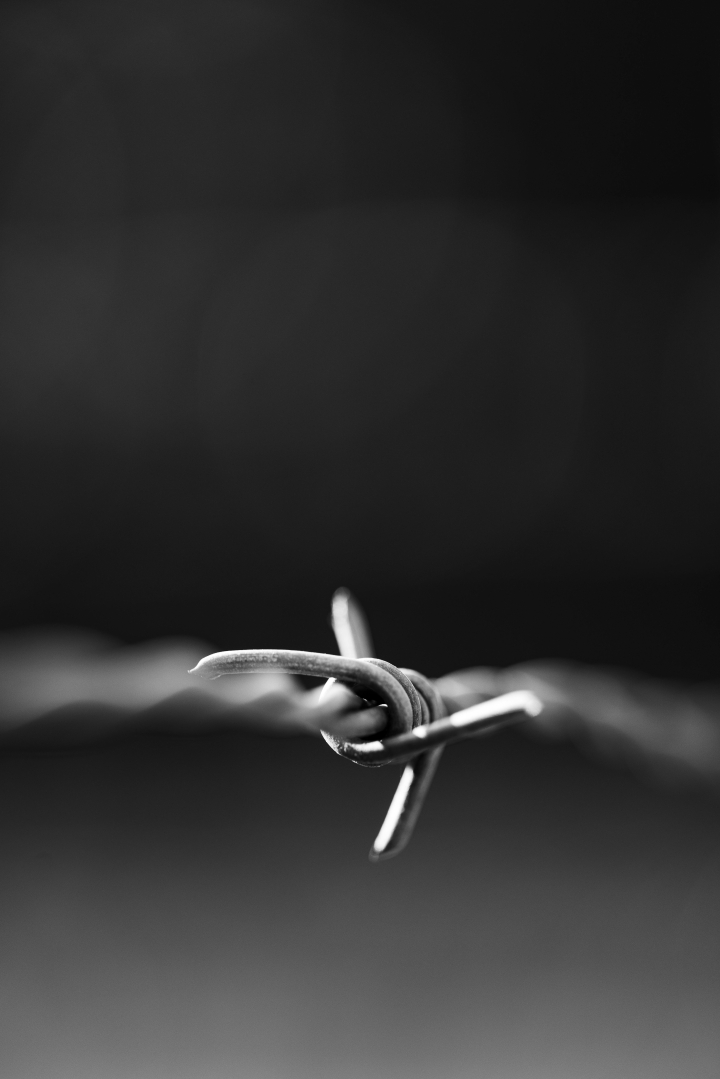 监理2 (2).jpg