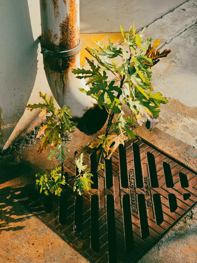 1752801101438054.jpg 监理8 (2).jpg